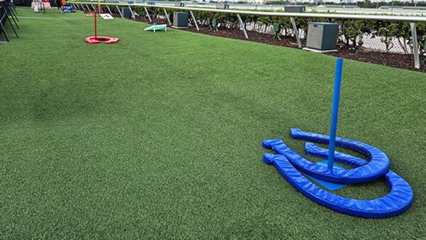 life size giant horse shoes game rental in florida